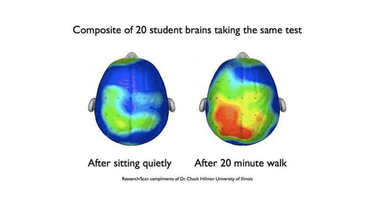  25 мл воды во время занятий увеличивает концентрацию, а 20-минутная прогулка повышает активность мозга