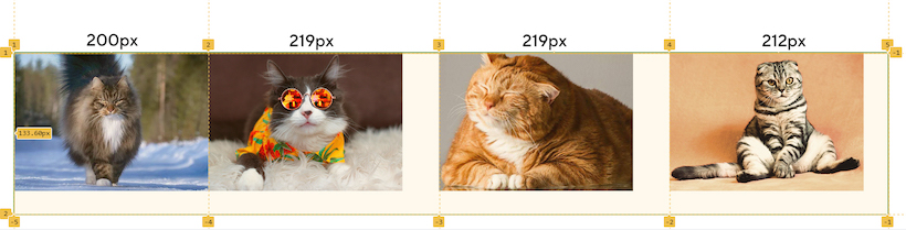Четыре колонки с разными котами. У первой колонки фиксированная ширина, последняя занимает 25% пространства, а вторая и третья делят оставшееся пространство на две равные доли