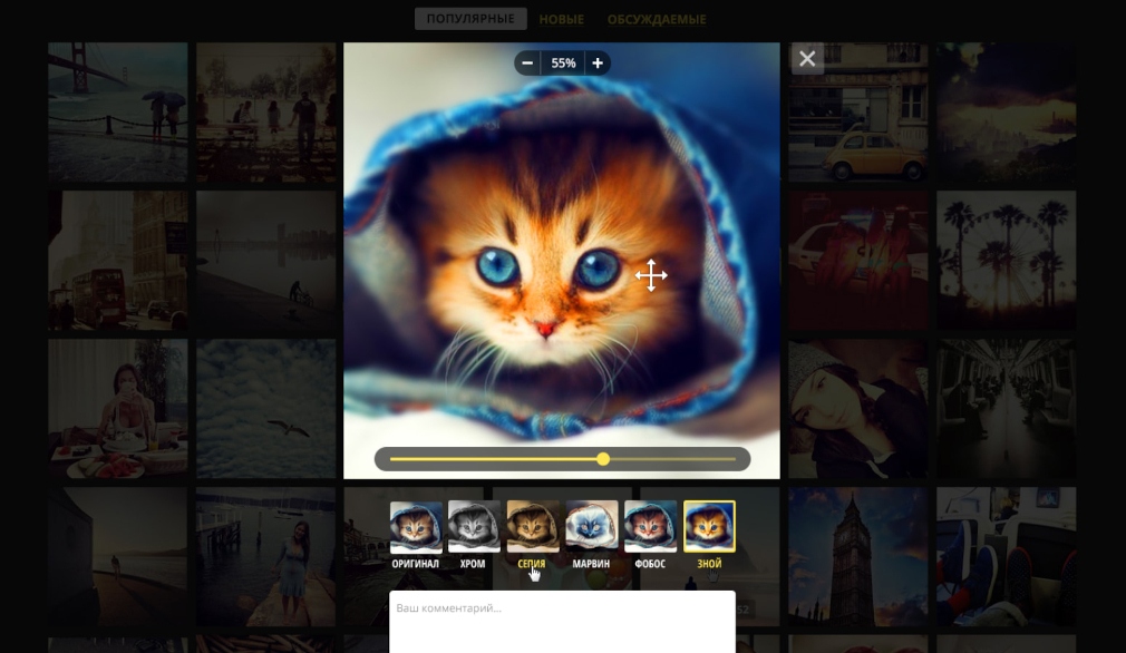 Сайт с открытым окном наложения фильтров на фотографию котенка