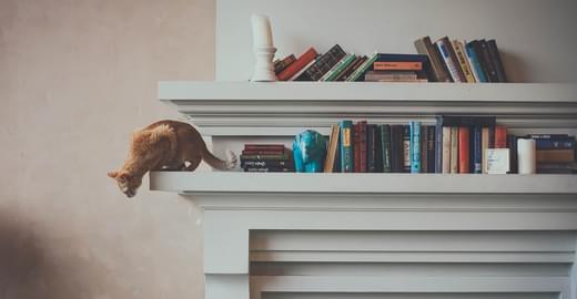 Шесть книг для бэкенд-разработчика