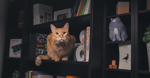 Пять книг для фронтенд-разработчика