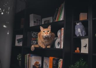 Пять книг для фронтенд-разработчика
