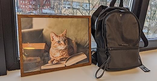 Предновогодние рюкзаки. С чем ходит Вадим Макеев и другие еноты